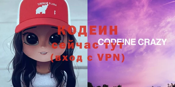 соль ск Абаза
