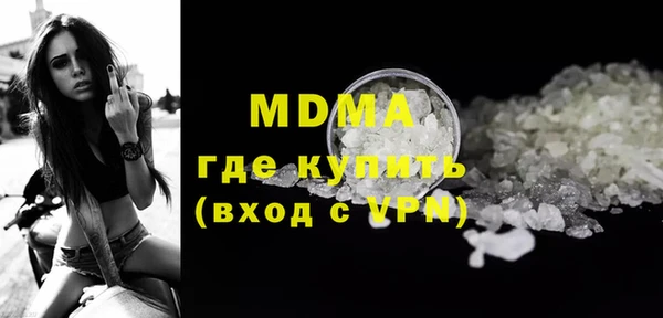 гашик Алексин