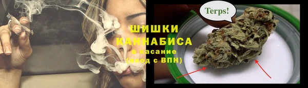 соль ск Абаза