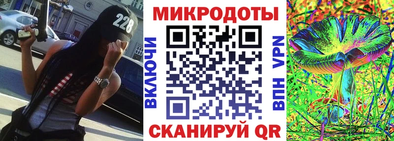 как найти наркотики  Шахунья  Псилоцибиновые грибы ЛСД 